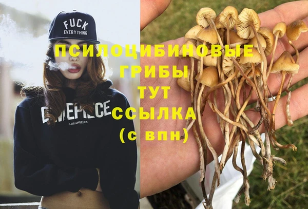 гашиш Аркадак