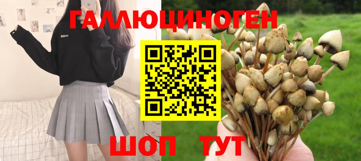 Галлюциногенные грибы мухоморы Мытищи