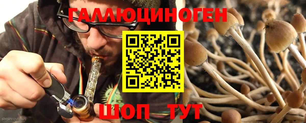 Псилоцибиновые грибы Psilocybe  Вход с VPN  Мытищи  где продают наркотики  Псилоцибиновые грибы GOLDEN TEACHER 